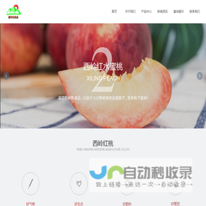 兴城市西岭红生态农业有限公司_食品_西岭红农业_西岭红桃_兴城西岭红