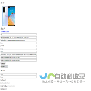 访客端